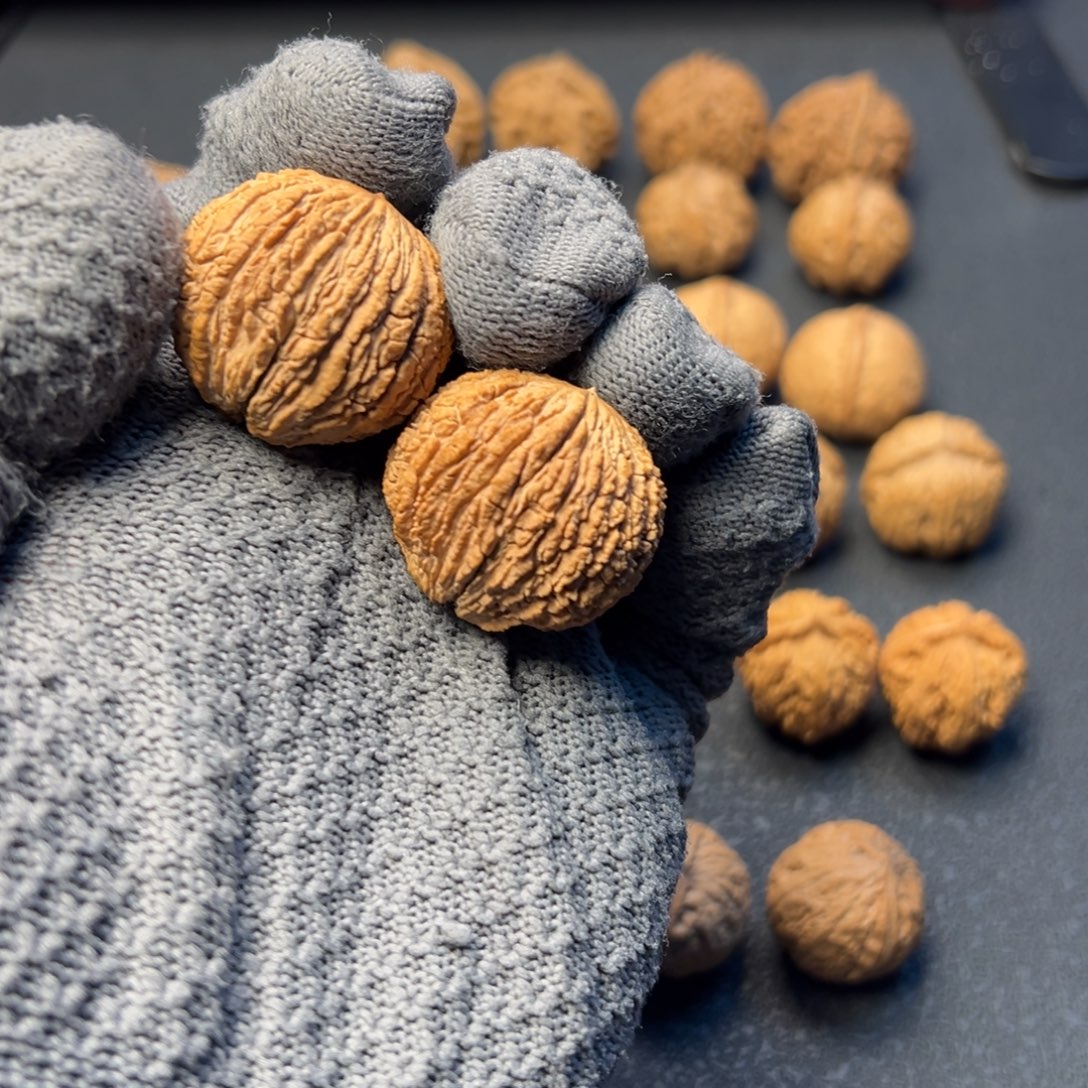 文玩核桃把件野生大猴头