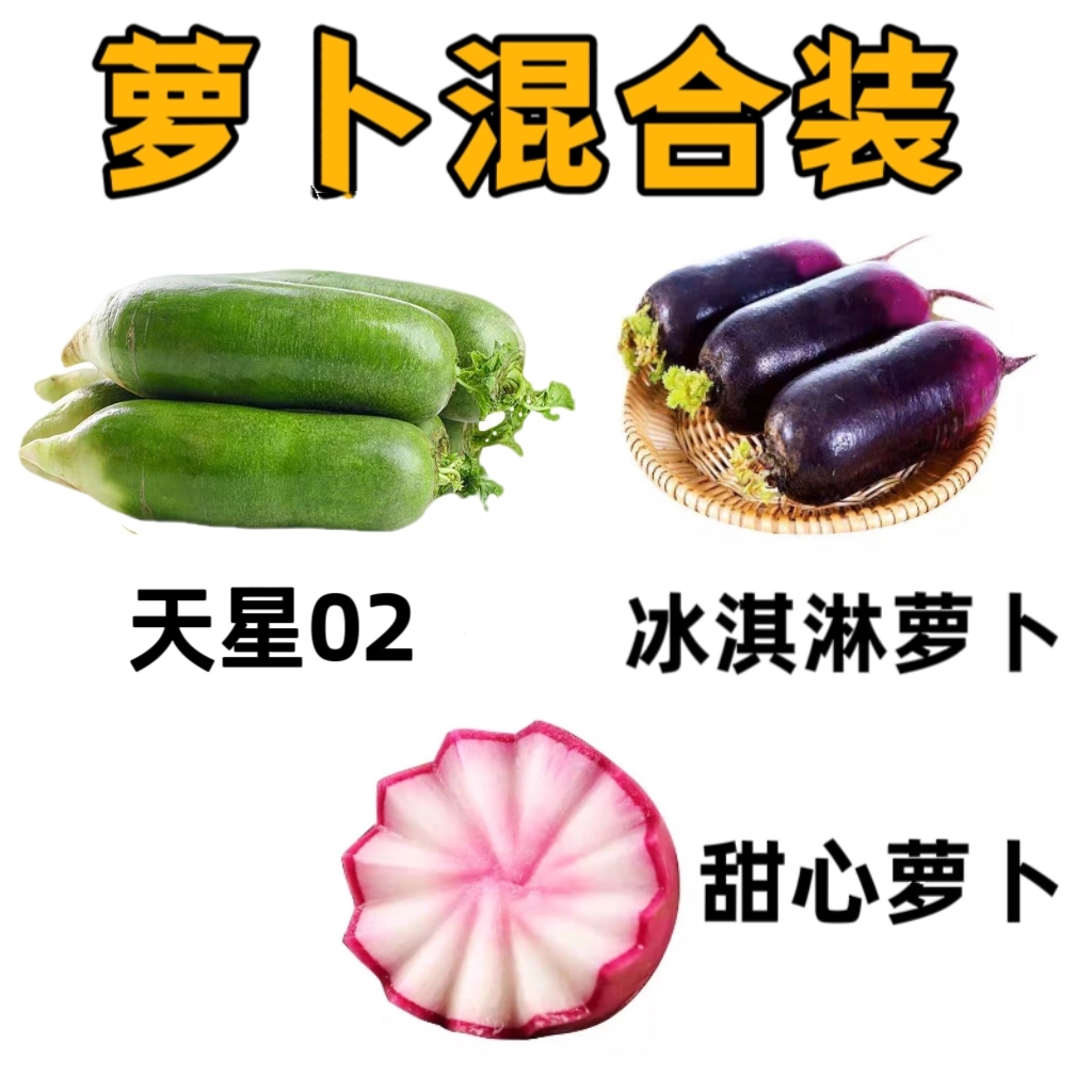 顺丰发货天津正宗沙窝萝卜 冰激凌萝卜  甜心萝卜 (三种混装）