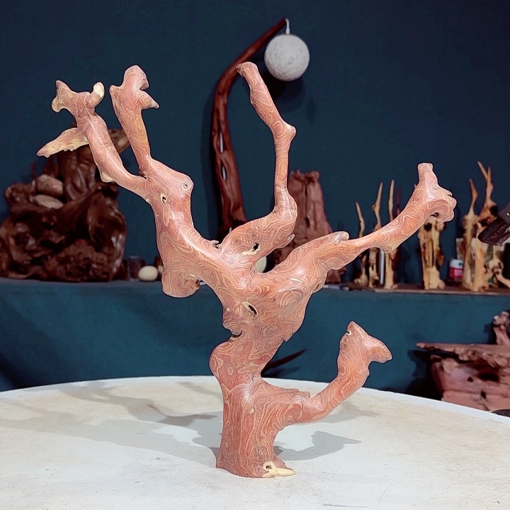 黑果木祥****3 329金丝红木羊蹄甲成品摆件