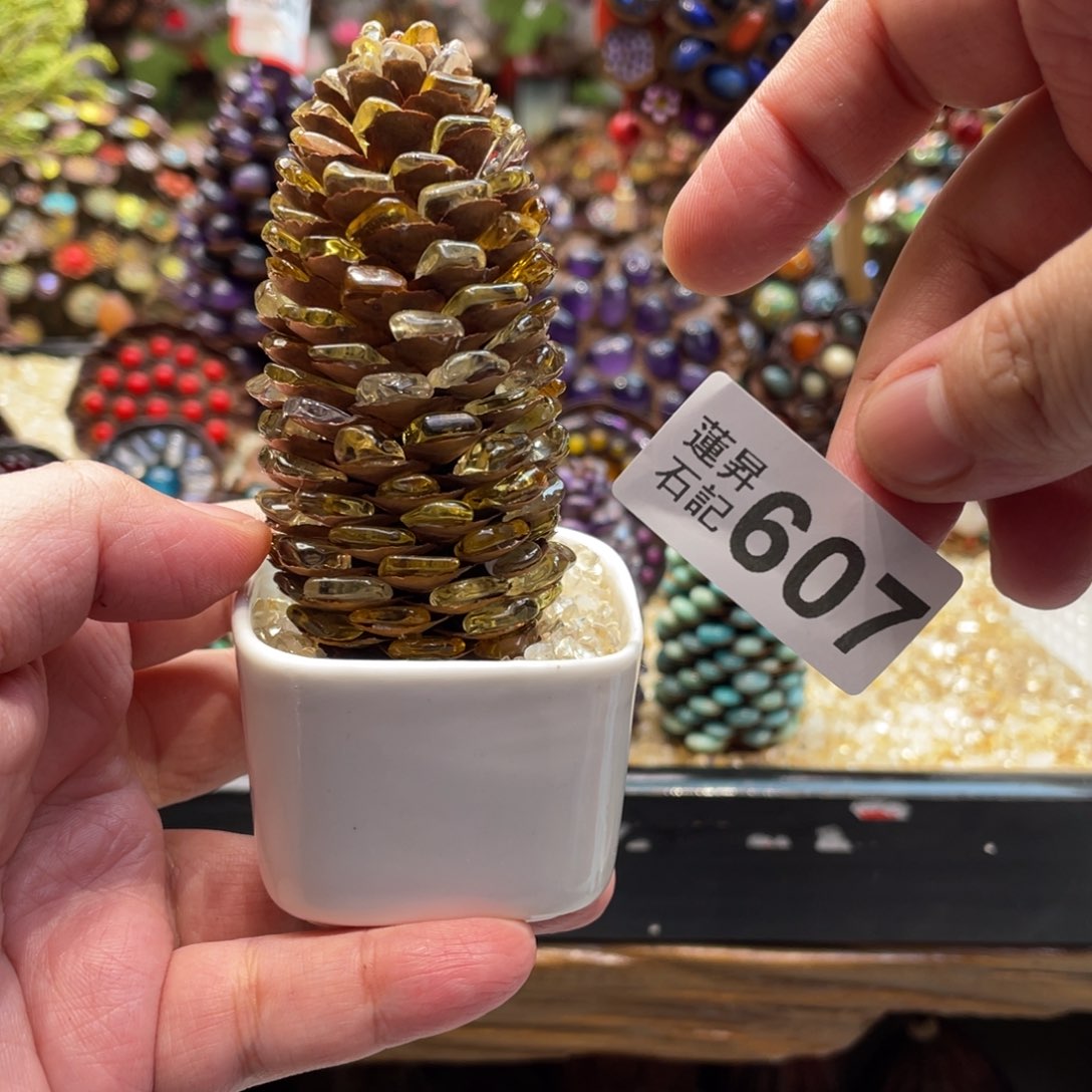 核桃木/黑胡桃（胡桃木）素*607一套松塔