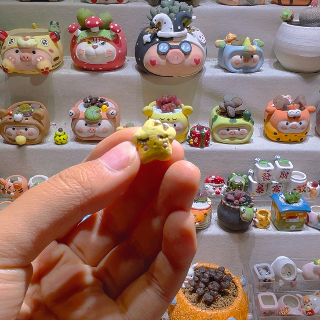 懒**梨酱梨专属补发链接拍拍