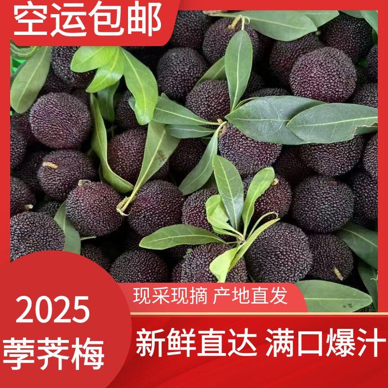 【空运发货】荸荠小黑炭高山杨梅纯甜无酸好吃应季水果产地直发