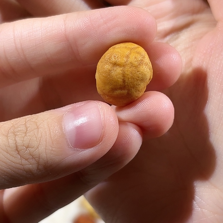 本***初琥珀未镶嵌手链蜜蜡海漂单颗