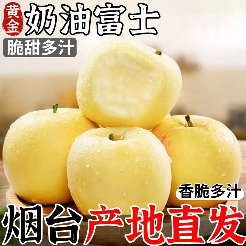山东烟台奶油富士苹果新鲜采摘黄金富士脆甜苹果烟台苹果