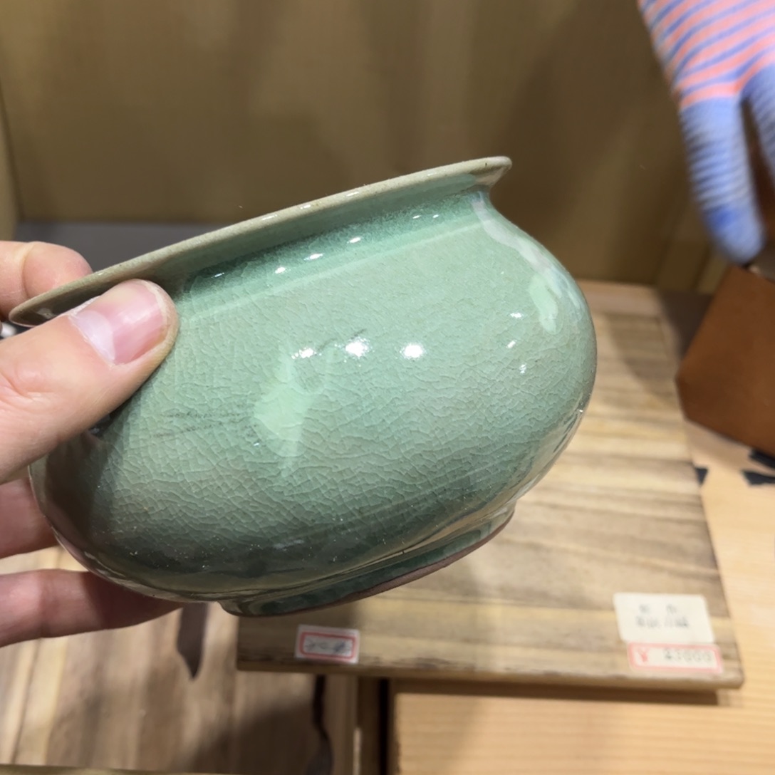 季***胃火爆热卖热门茶茶茶