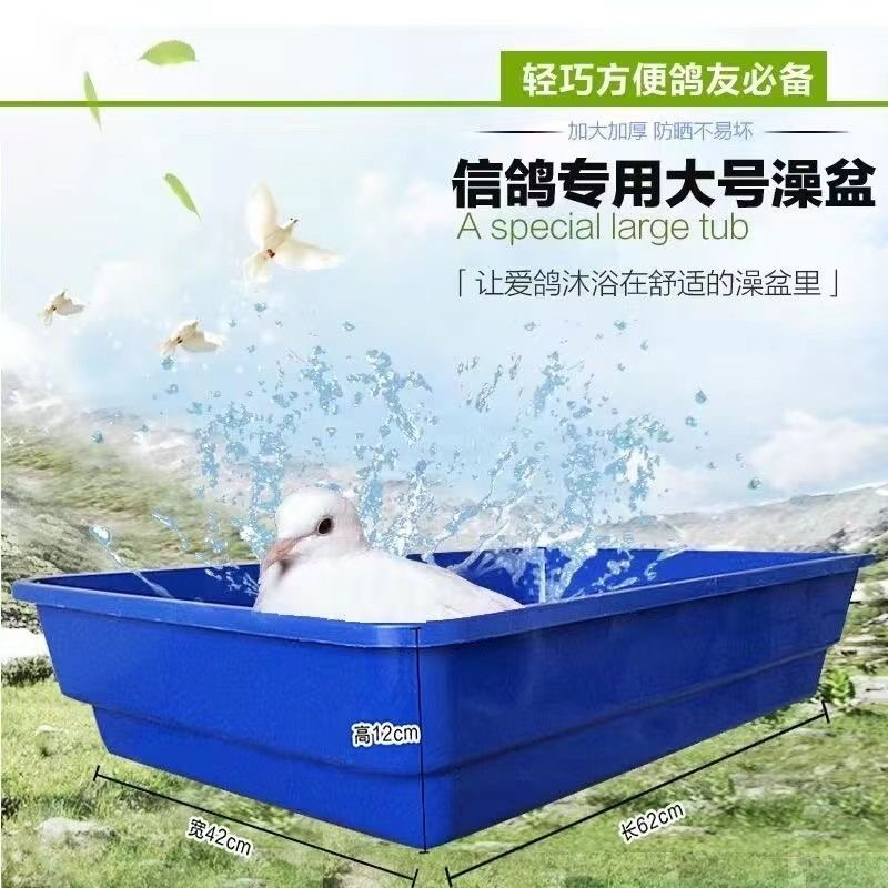鸽子洗澡盆浴盆信鸽赛鸽加厚加大澡盆鸽子澡盆鸽子洗浴盆用品用具