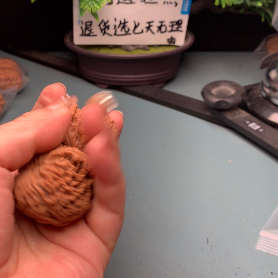 文玩核桃把件维修南疆4647