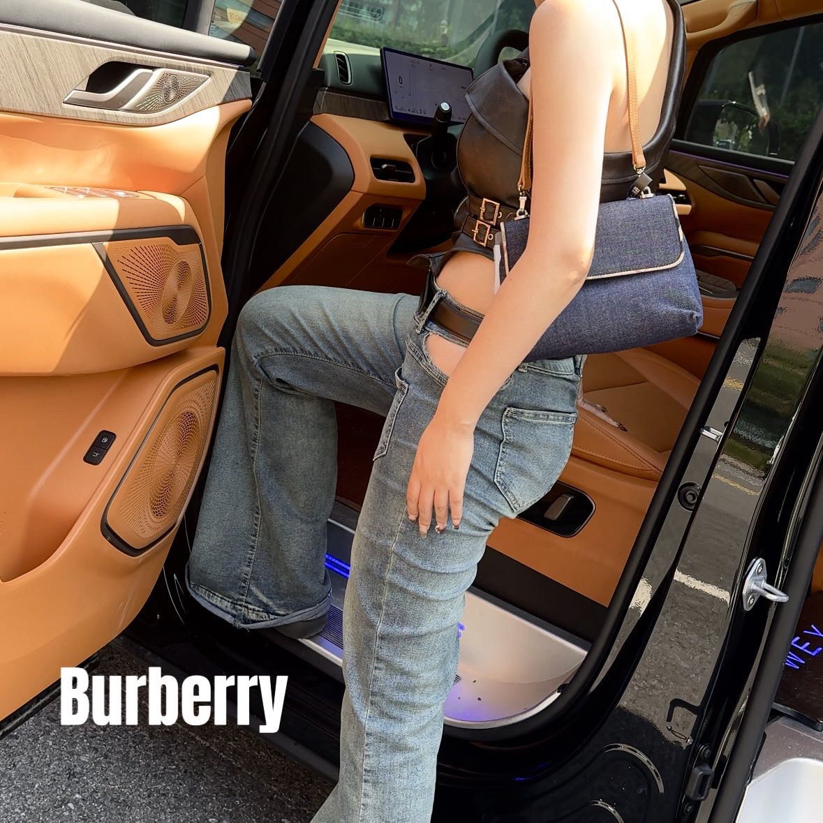 修复品618878/BURBERRY/博柏利腋下包