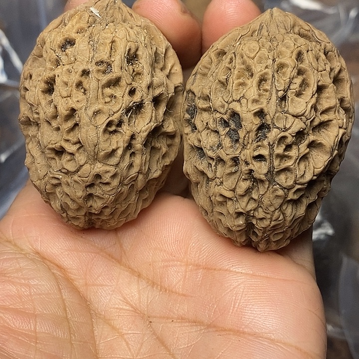 把件文玩核桃云南铁核桃38