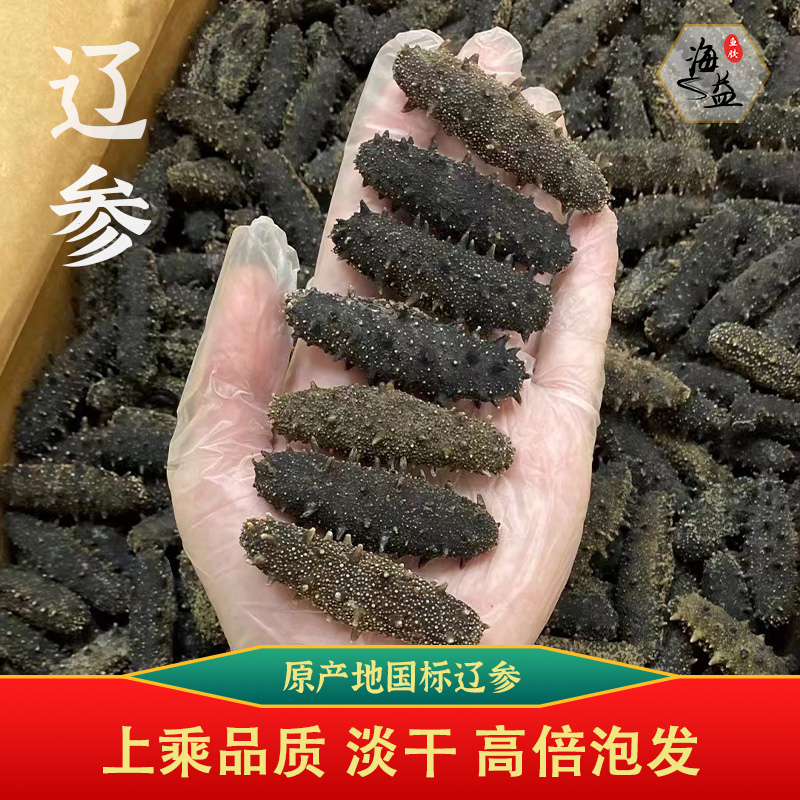 海参 【辽参 球参】 肉质Q弹紧实零添加高品质鱼胶花胶
