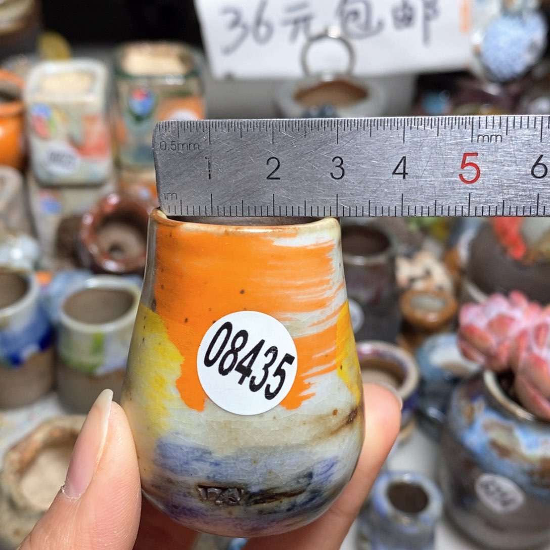 花盆拍5送一个小礼物
