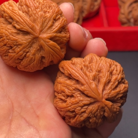 文玩核桃把件秦岭山脉核桃