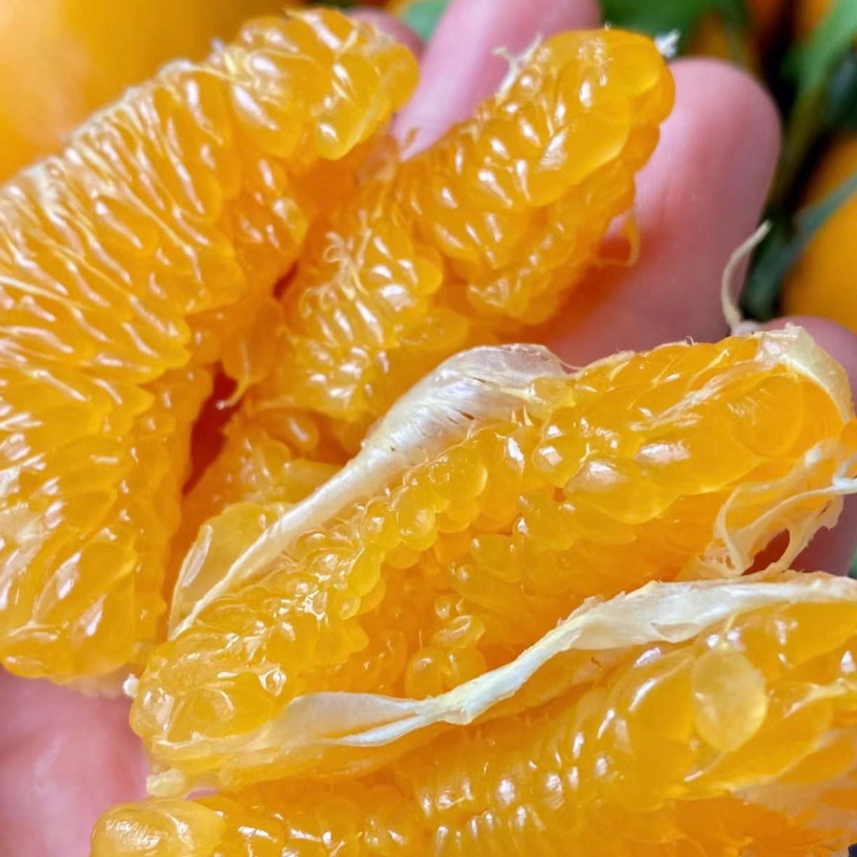 门店自选水果  改好价格 再下单四川省