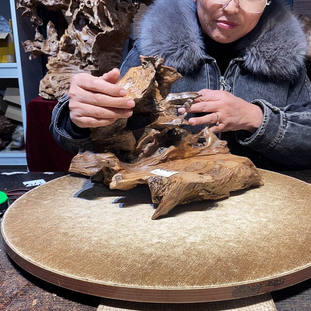 长***宁647。株木随行根艺