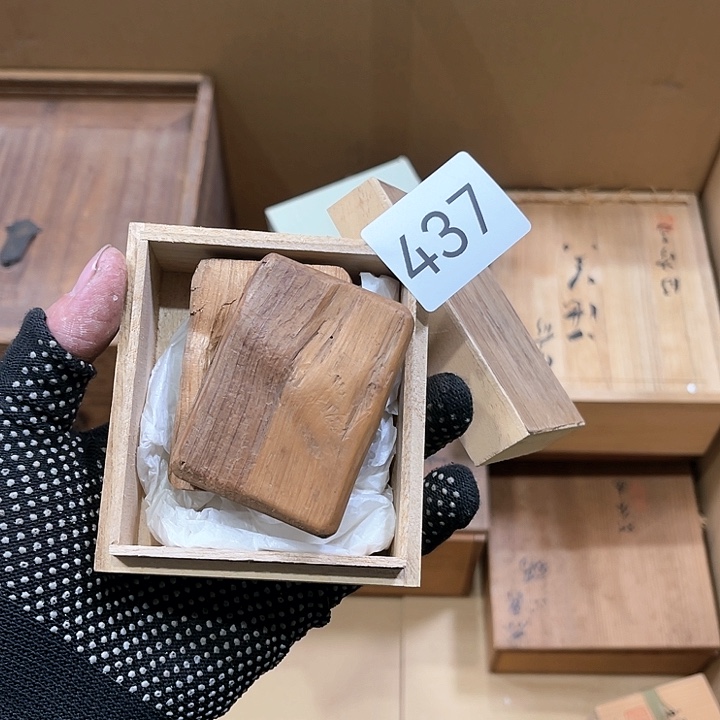 茶宠我们都是好孩子呀打脸好