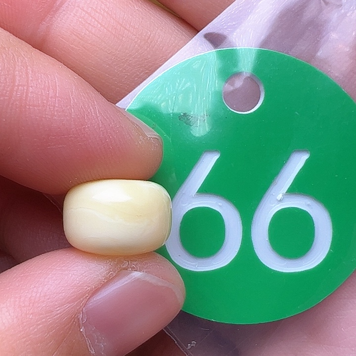 蜜蜡裸石未镶嵌12m m