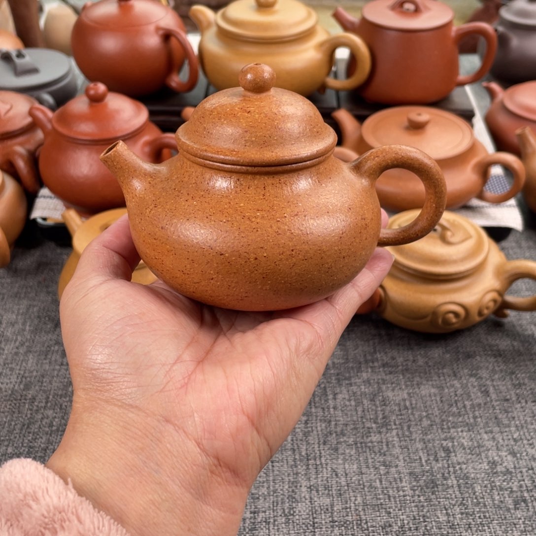 紫砂茶壶黄降坡容天全手30目190