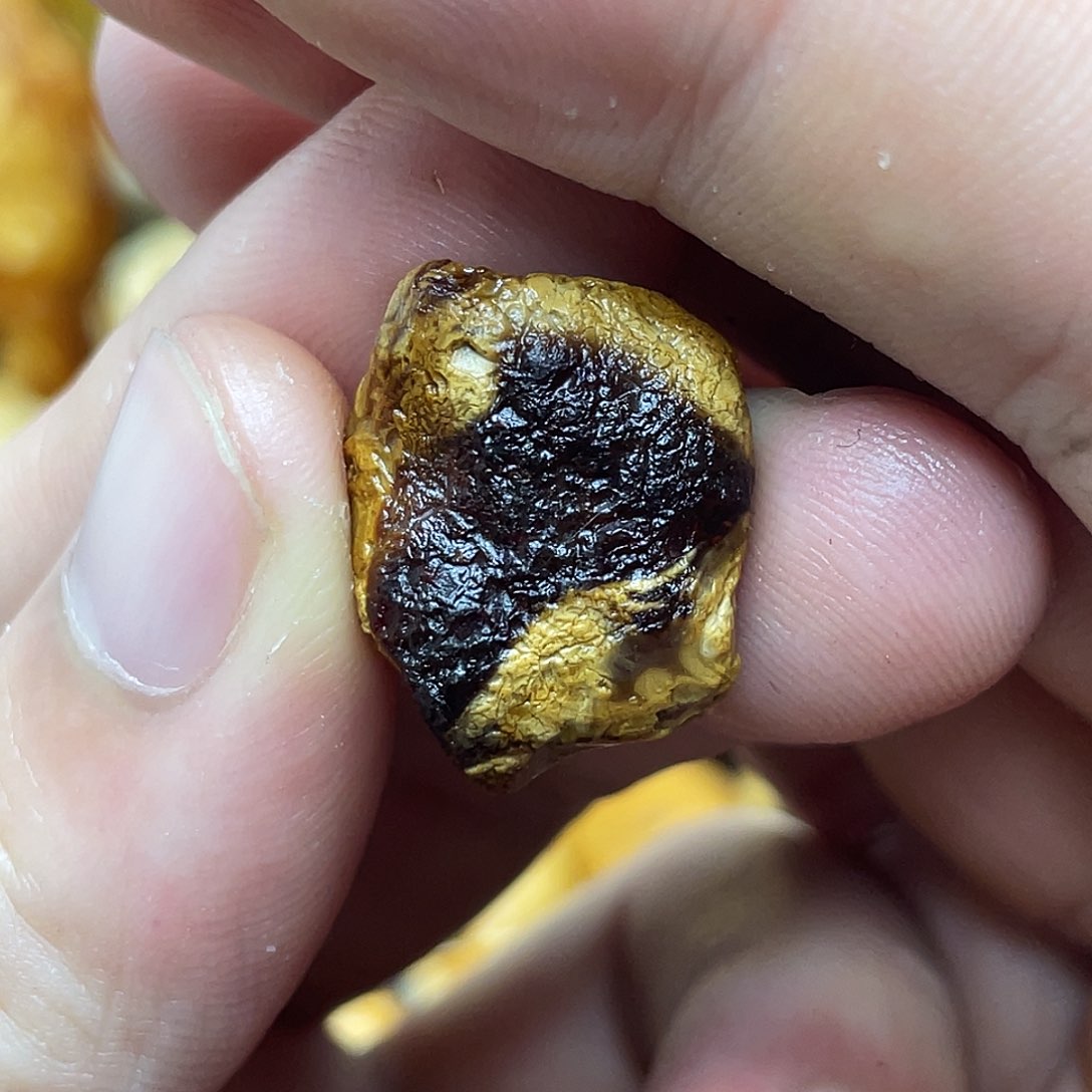 定制琥珀未镶嵌定制