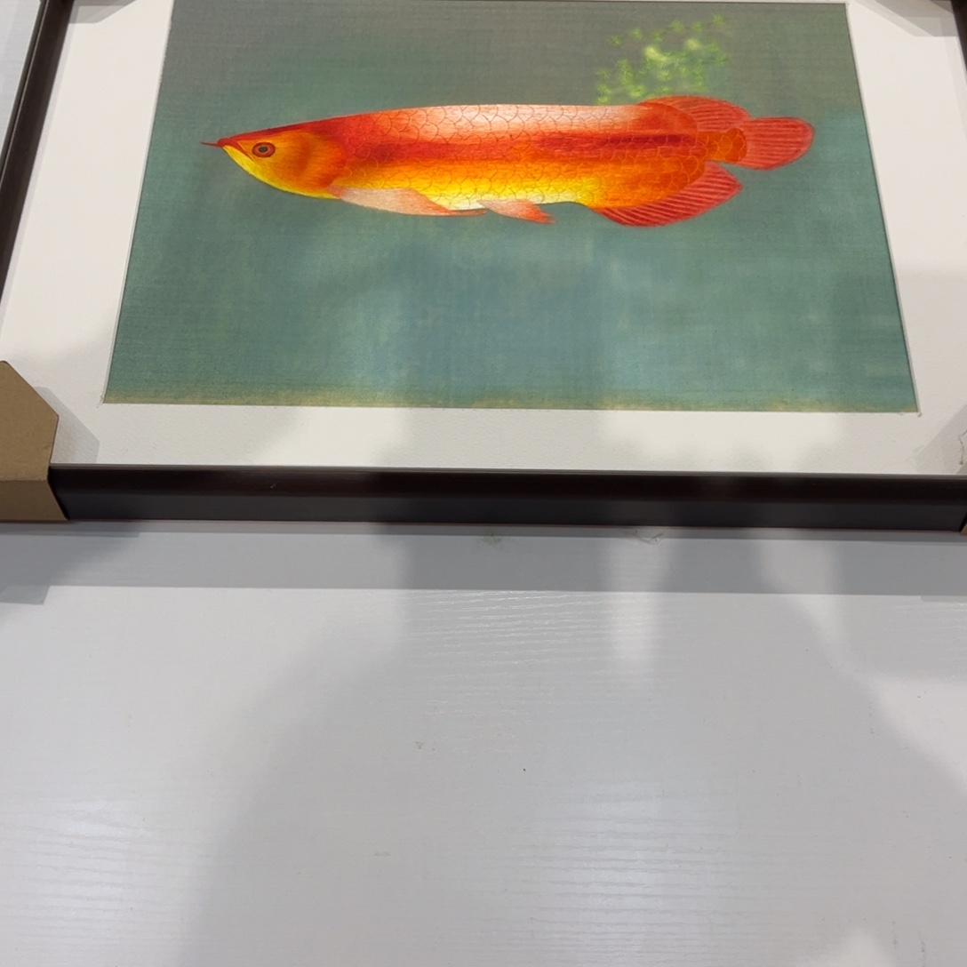 刺绣金龙鱼画心30*40成品