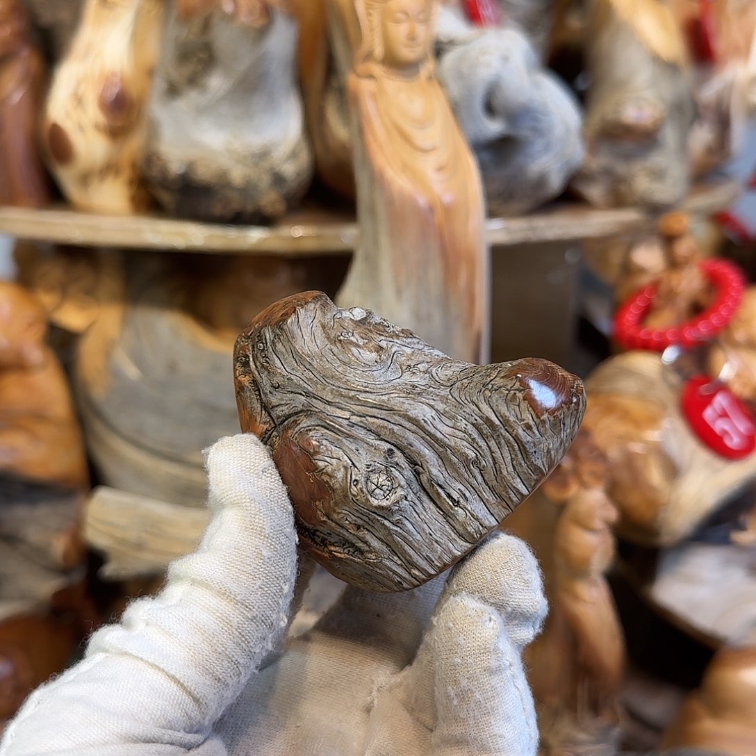 柏木（崖柏）6666666