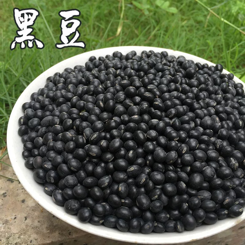 【黑豆】高山农家黑豆打豆浆发豆芽煲汤豆香浓郁