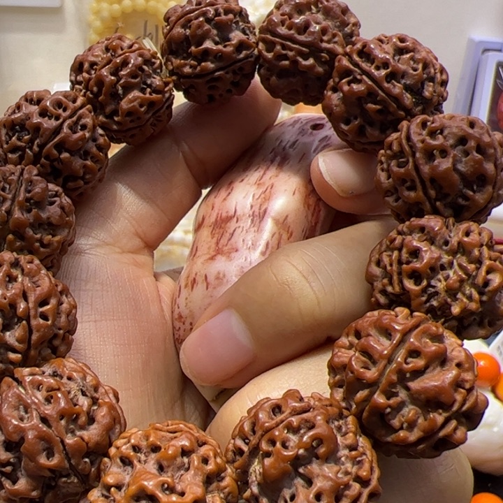 大果紫檀（缅甸花梨）大黑丫丫