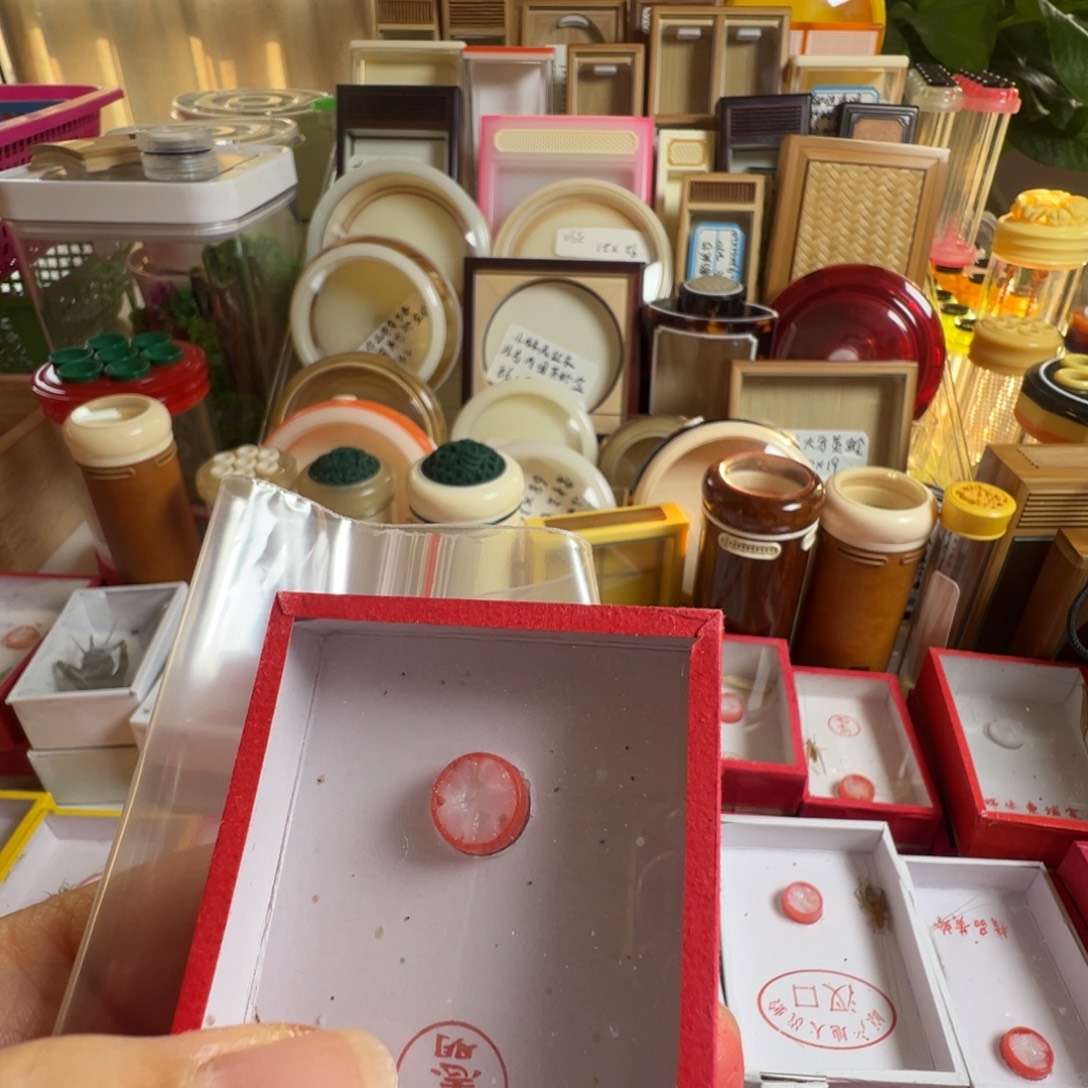 君***兰蟋蟀两只汊口蛉两个水塔