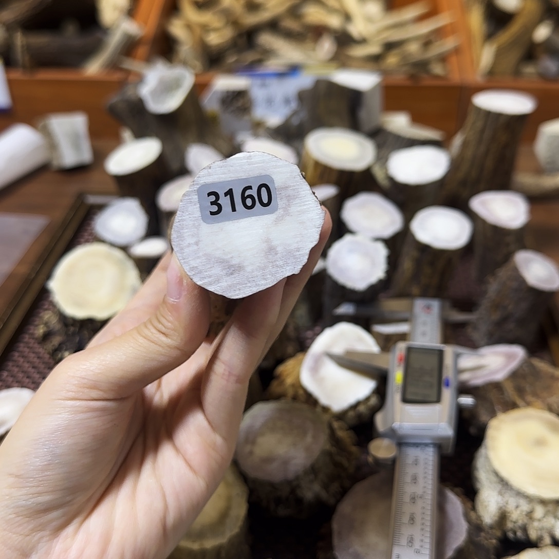 手串/手链鹿骨3160根段