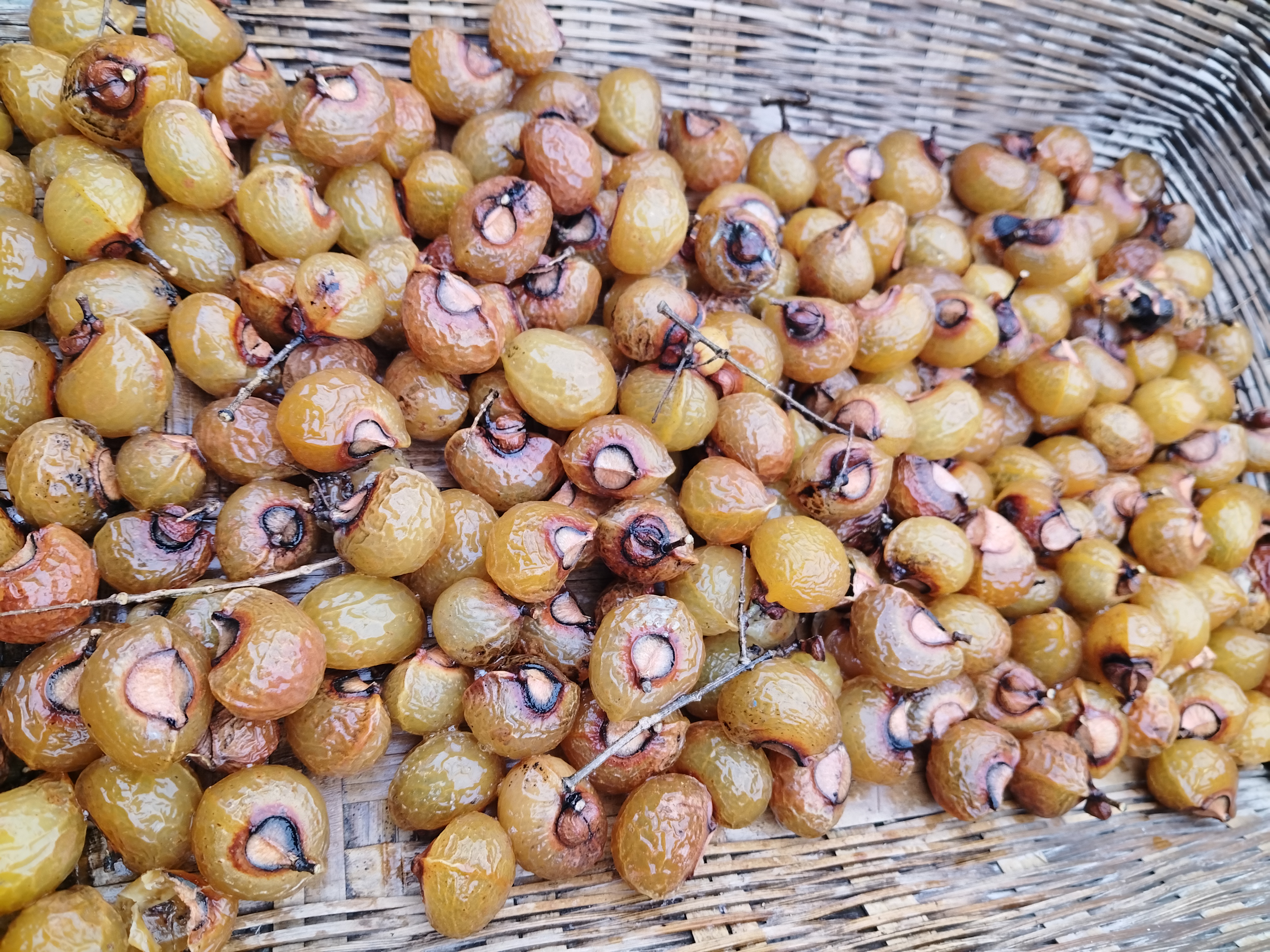 非金属木质手链 贵州高山无患子果500g（10mm一26mm）