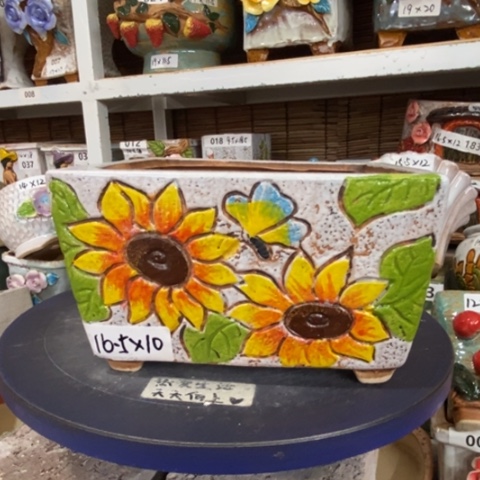 【闪购商品】         