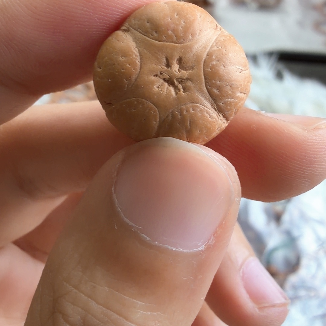 ****文凤眼菩提吊坠4593