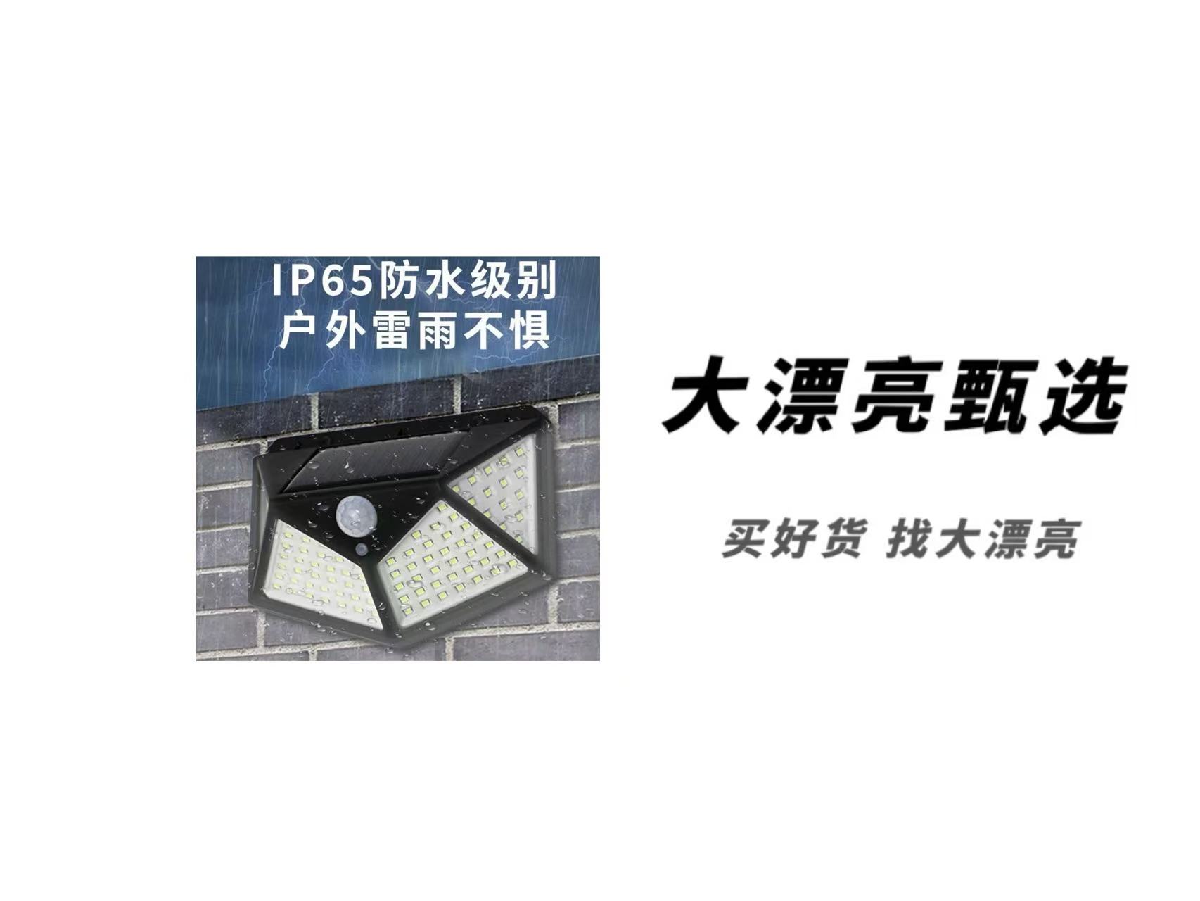 （LED）太阳能充电式 太阳能感应灯