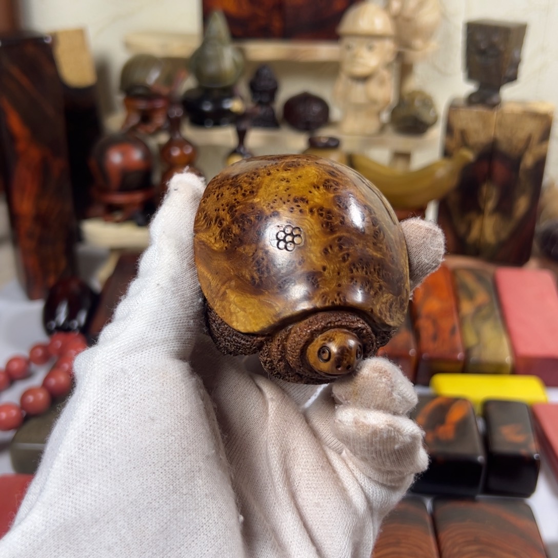 简***i麻梨疙瘩乌龟一个