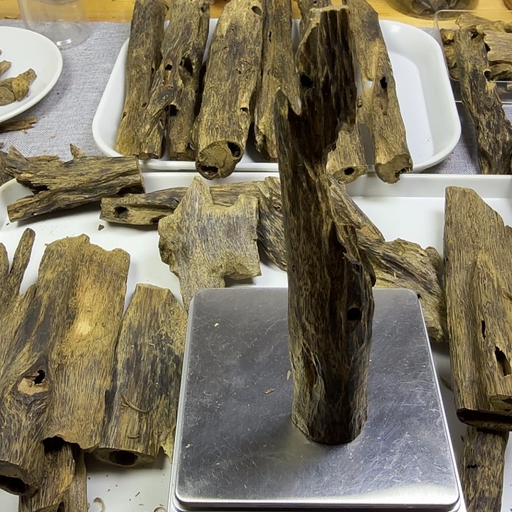 圣***馆香料乌身圆叶虫漏香24克