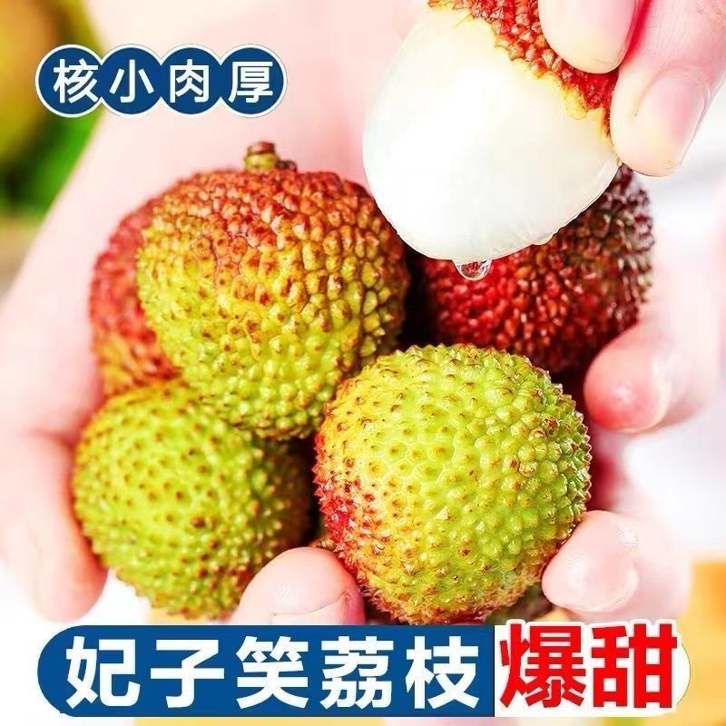 【川渝京东顺丰今天发明天到】现摘妃子笑新鲜荔枝酸甜可口荔枝新鲜水果3斤5斤海南省荔枝同城送海南省