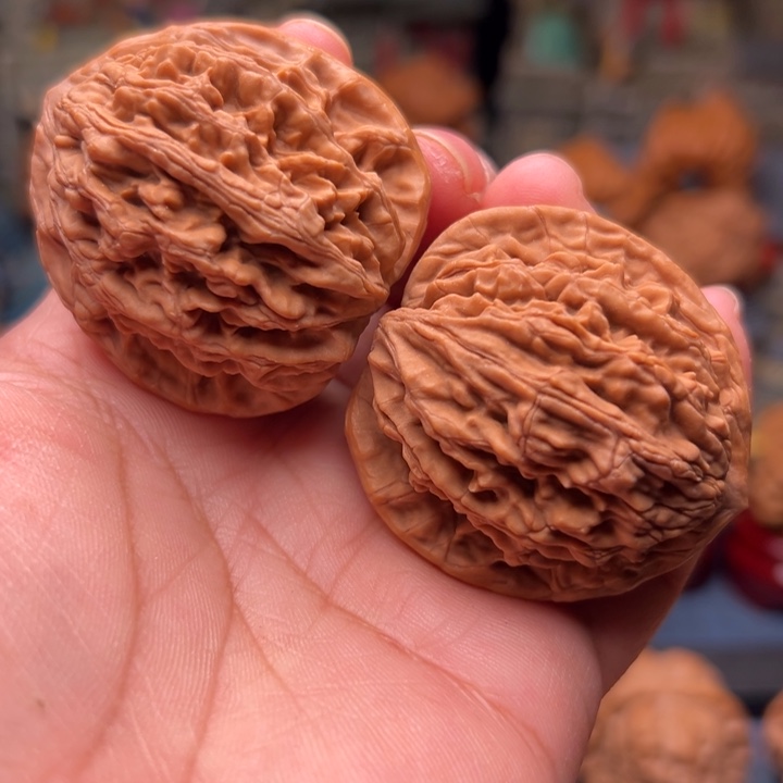 核桃41虎头虎头虎头虎头