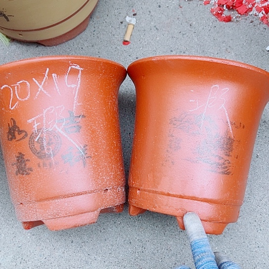 红陶紫砂紫砂紫砂