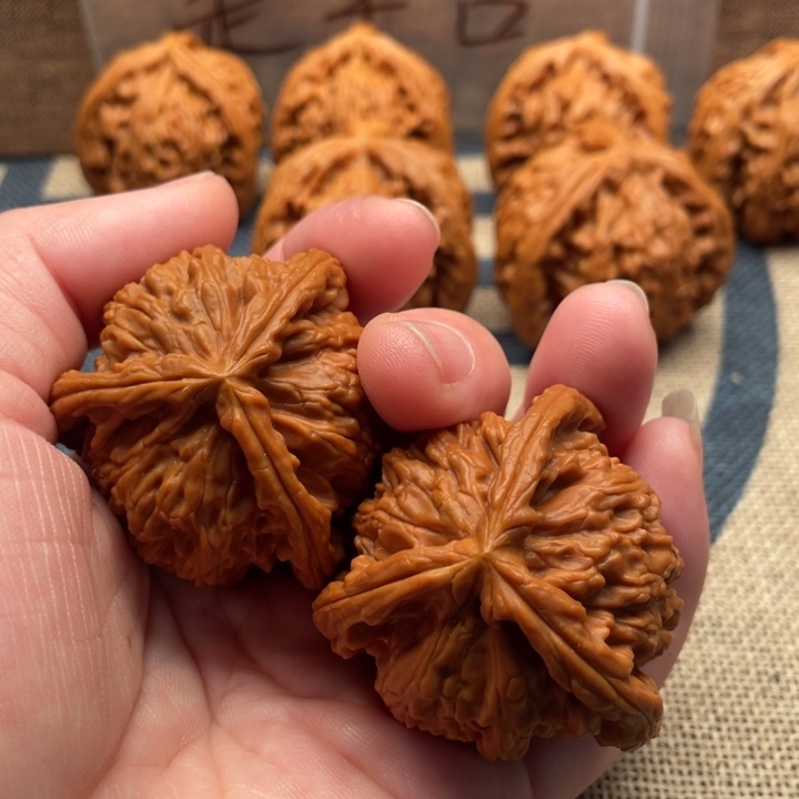 *****核桃白狮子41核桃