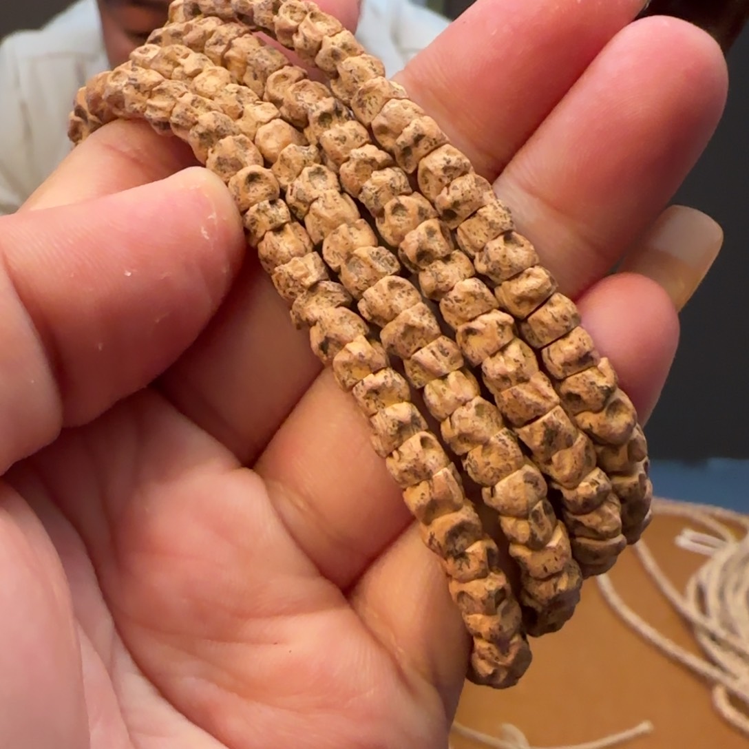 柏香籽/百香籽手串大肠5➕