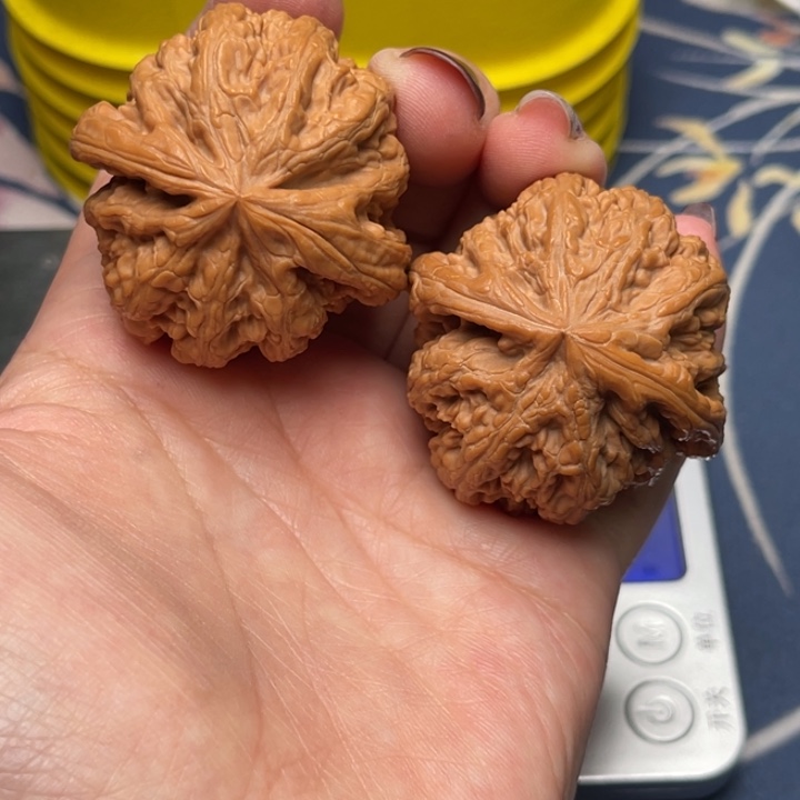 文玩核桃把件粗筋41