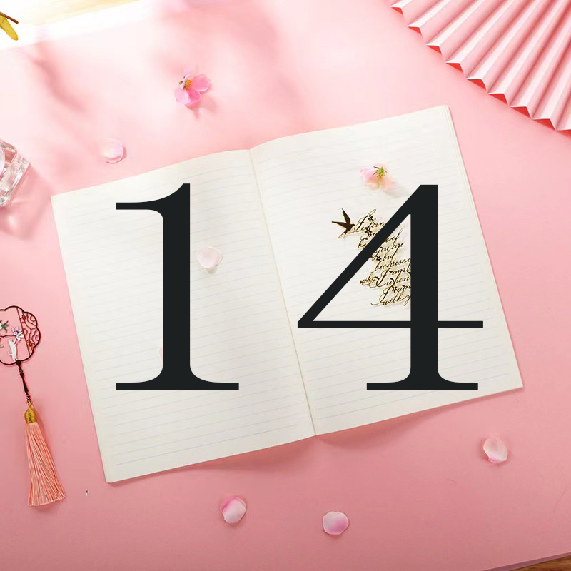 1-14手账本册 以直播间展示为准