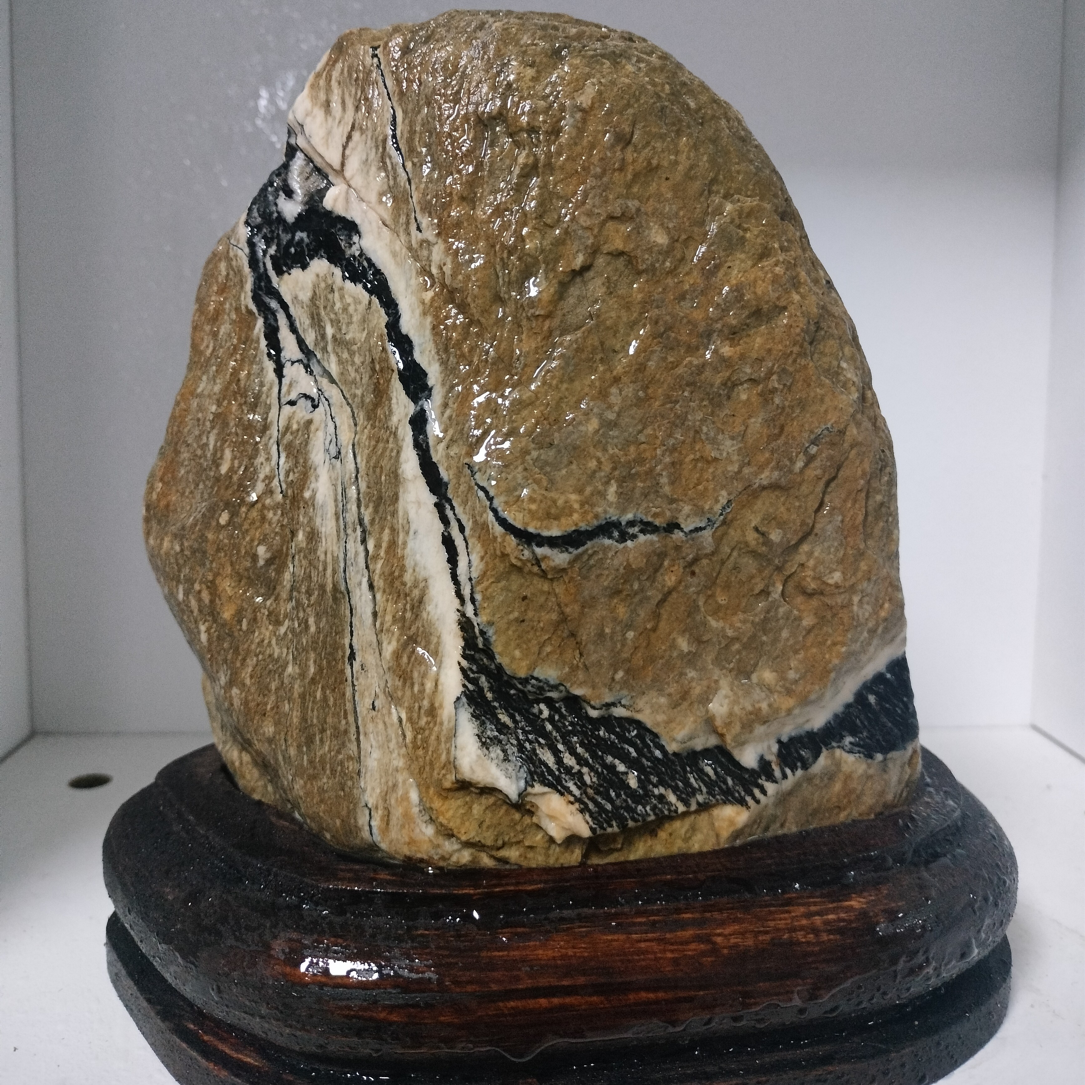 图片仅供参考，精美家居摆件，一物一价以直播间实物为准