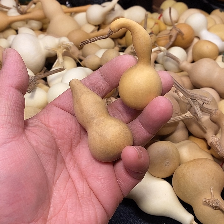 稀***环精品葫芦手把葫芦68
