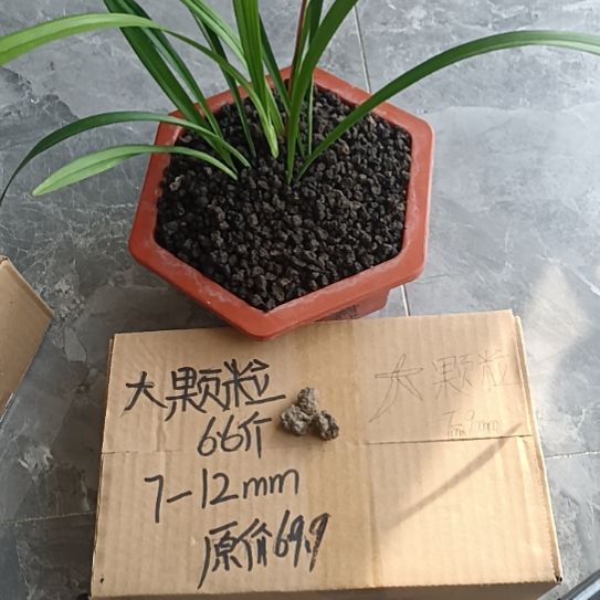 邹***堂兰菌黑山土大颗粒6.6斤