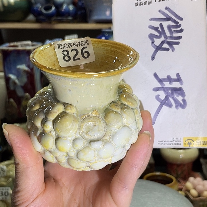 狼盆内口径7高度9