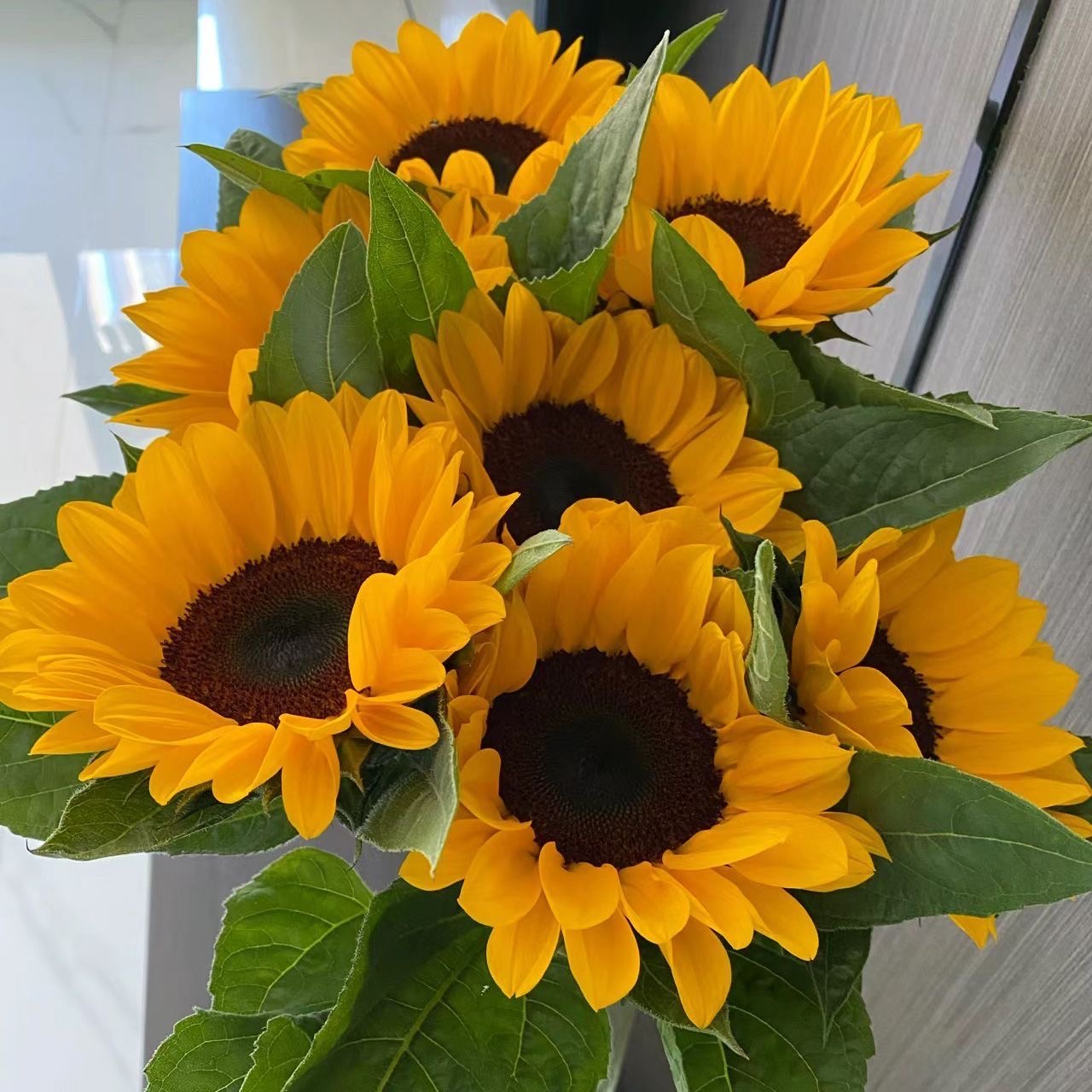 向日葵鲜花云南直发批发插花花束真花家用水养客厅向日葵大朵中花