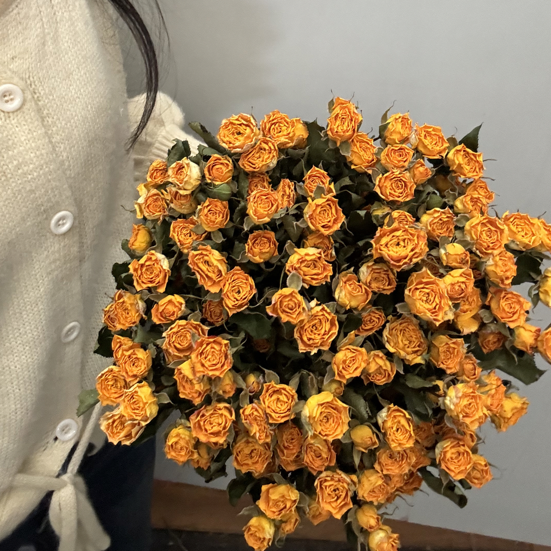 【富贵的花甸】多头泡泡玫瑰大集合