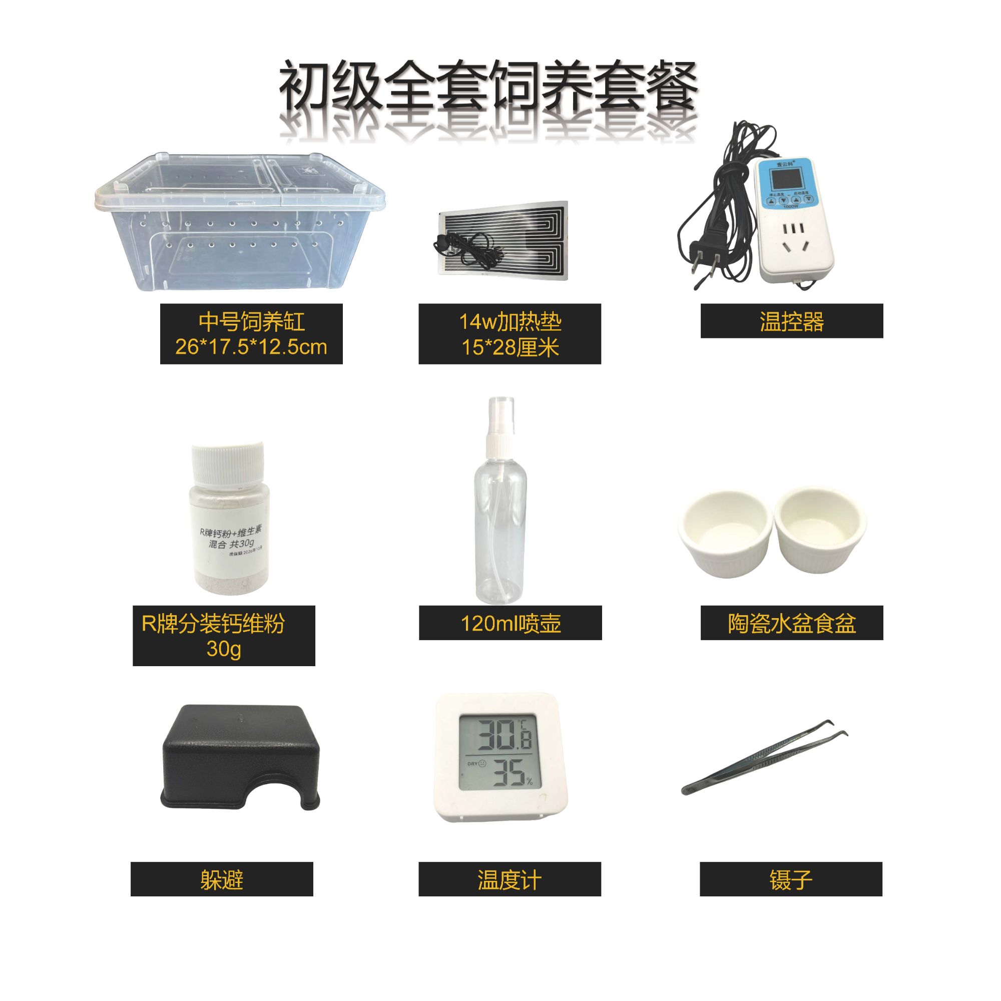 豹纹守宫中号新手全套饲养套餐尺寸规格配套