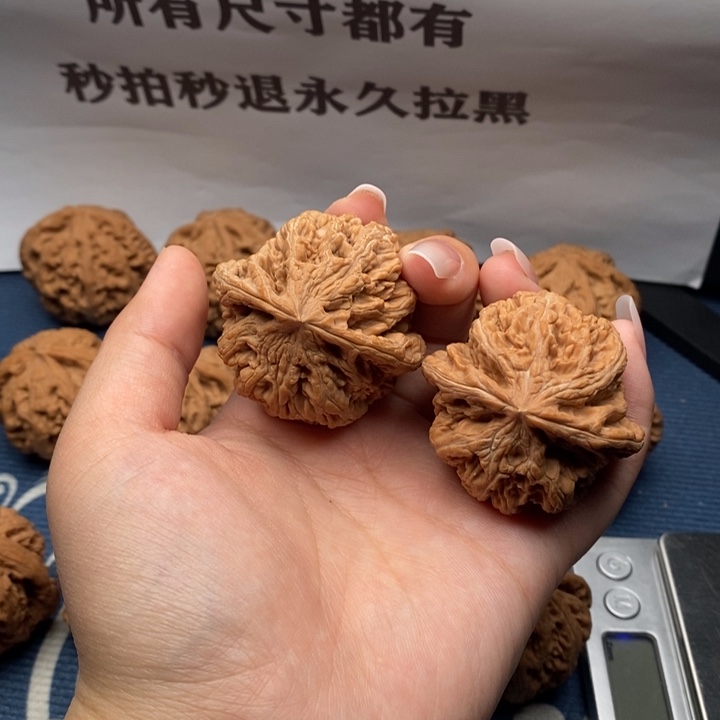 路***核桃粗筋全品47 1打底