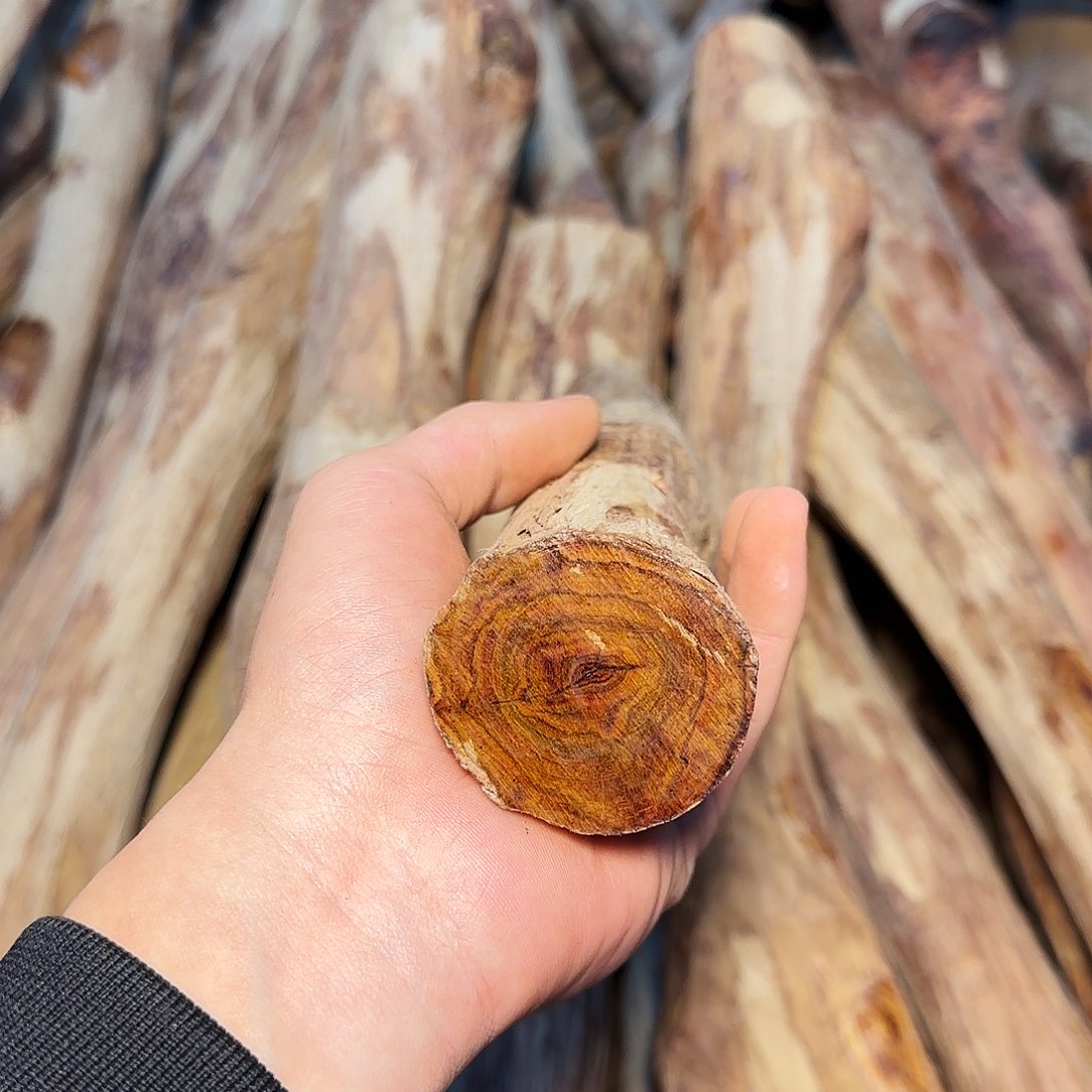 黄花梨/降香黄檀高**月